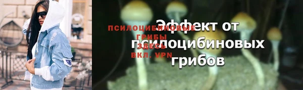 МДМА Горнозаводск