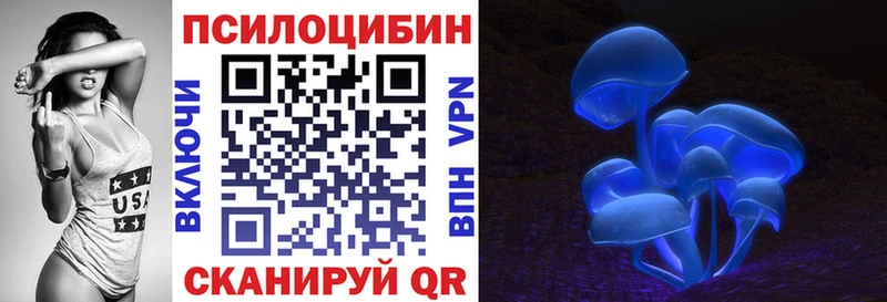 цена   Омск  Галлюциногенные грибы Psilocybine cubensis 